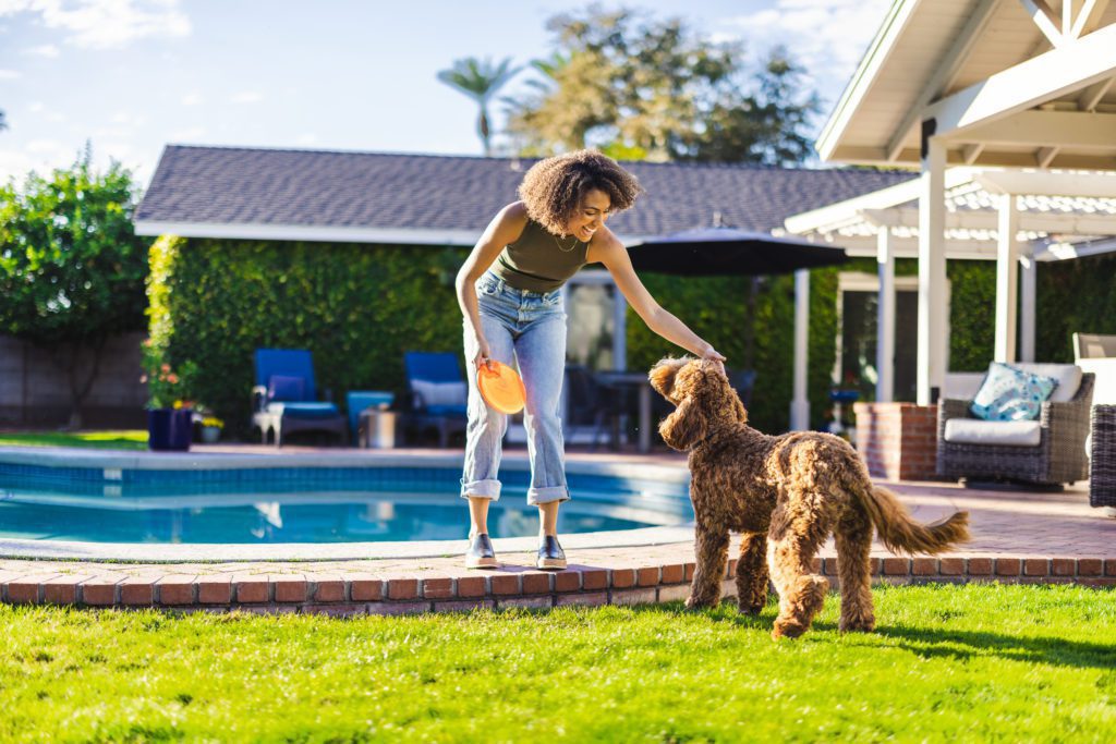 Dog Safety Tips For National Safety Month