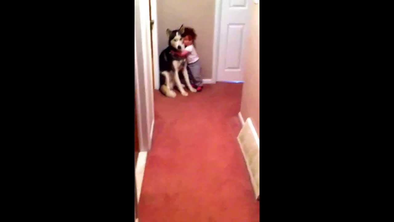 Baby scared of vacuum runs to dog for protection